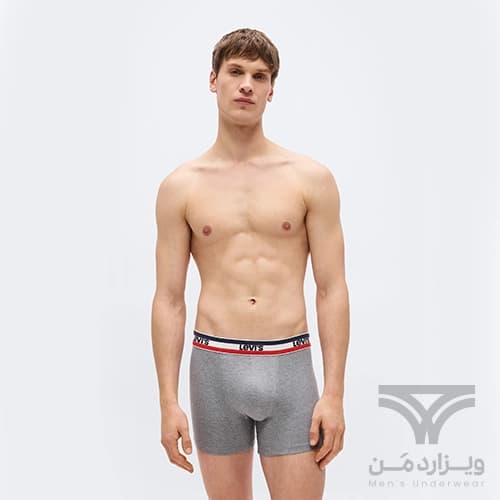 پک 4 تایی شورت مردانه باکسر بریف میکروفایبر اورجینال وارداتی برند لیوایز Levi’s آمریکا کش 4 سانتی رنگبندی رندوم — تصویر ۲