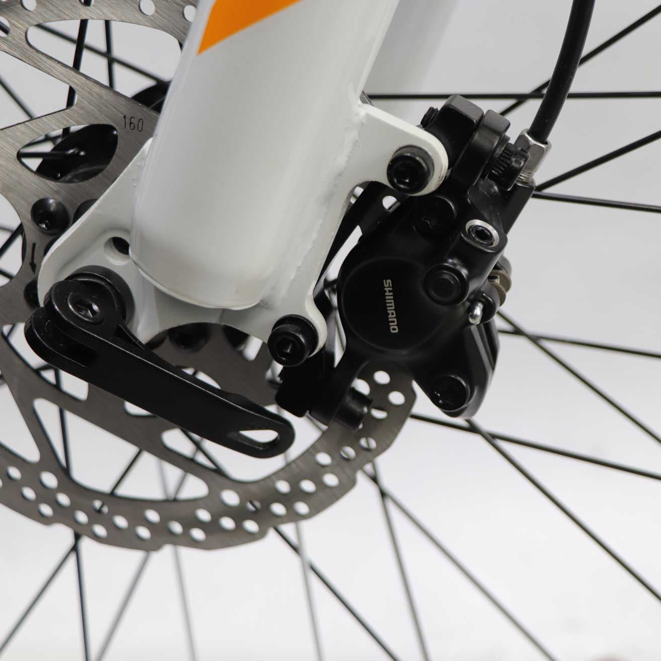 دوچرخه بلست مدل ALPINA 27.5″ PLUS سفید — تصویر ۸