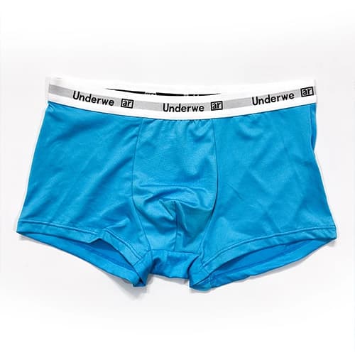 شورت مردانه باکسر بریف وارداتی کش پهن Underwear تک رنگ آبی و یاسی