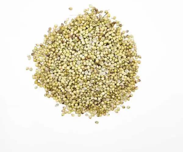 تخم گشنیز درجه 1