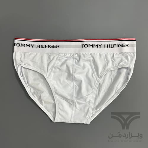 پک پرمیوم 4 تایی شورت مردانه تامی هیلفیگر Tommy Hilfiger اورجینال اسلیپ Premium — تصویر ۴