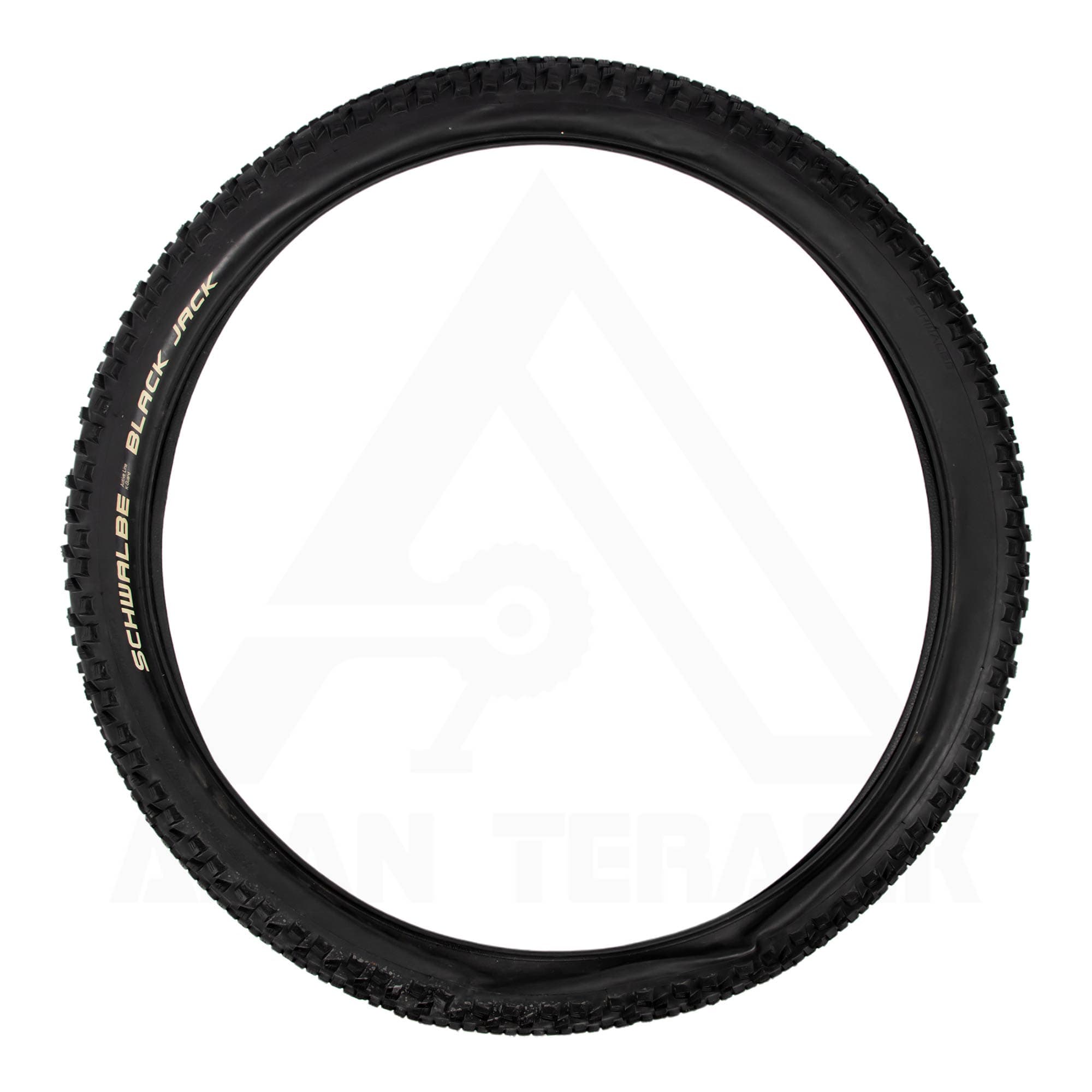 تایر شوالب SCHWALBE BLACK JACK 26 x 2.25 — تصویر ۲
