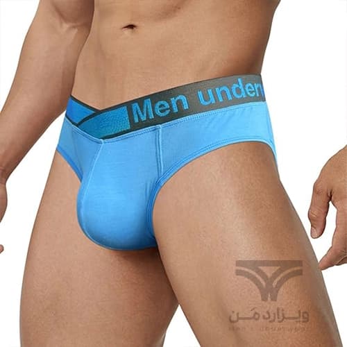 شورت مردانه اسلیپ اورجینال Pump Men’s Modal Briefs Dual Waistband V-Suspension Low Rise برند پامپ — تصویر ۳
