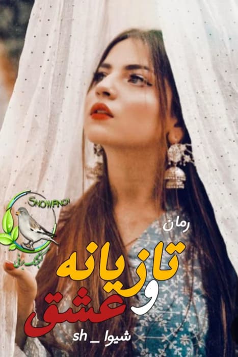 رمان تازیانه وعشق |اثرشیوابادی ||رمان عاشقانه ،هیجانی | دانلود | کتاب خوان