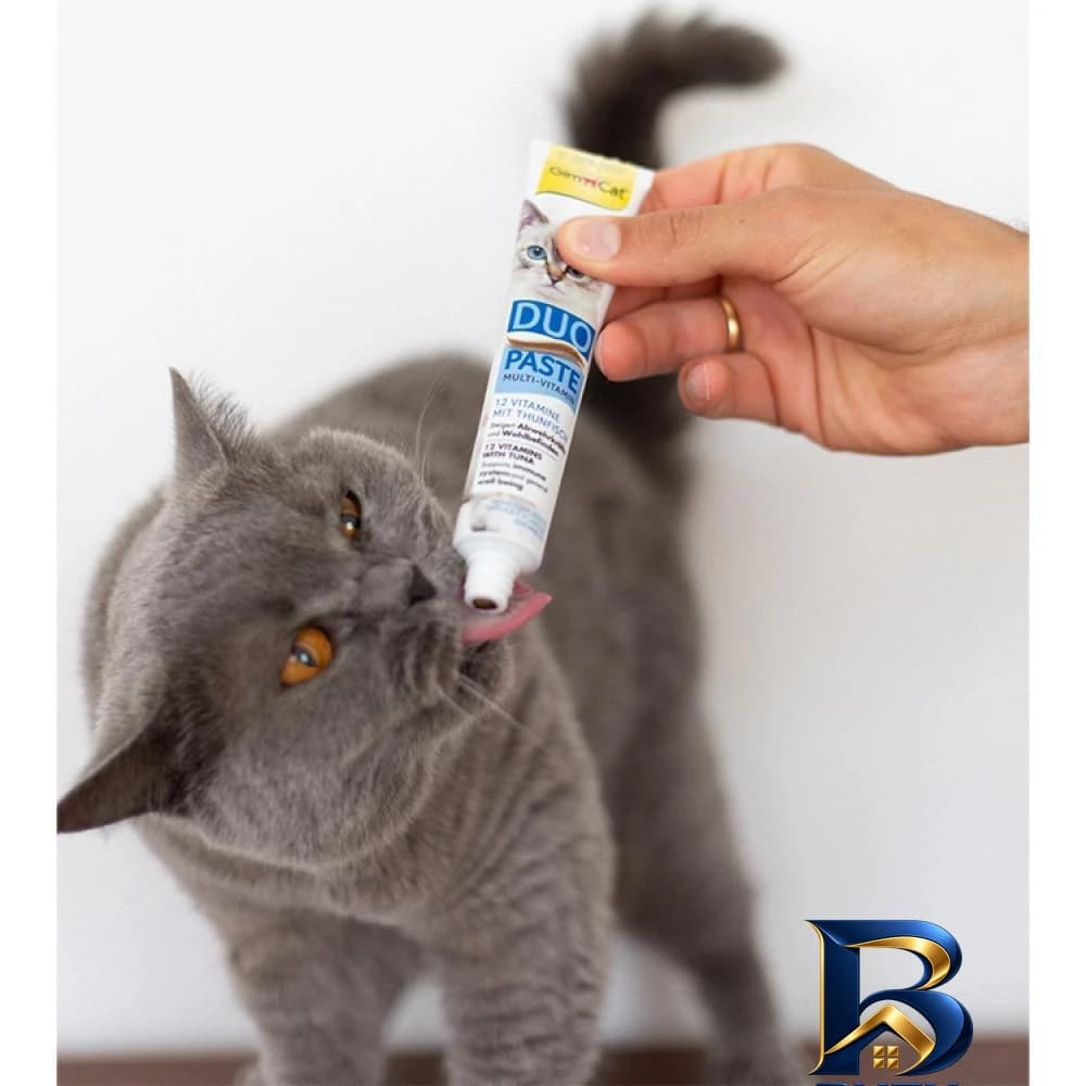 خمیر مولتی ویتامین جیم کت مدل Duo Paste ماهی تن وزن ۵۰ گرم — تصویر ۳