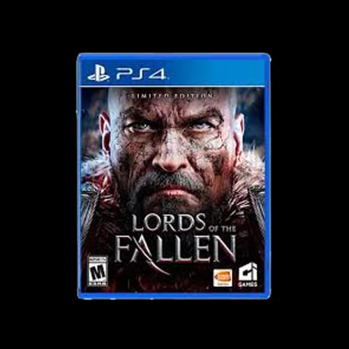 بازی Lords Of Fallen برای PS4 – کارکرده