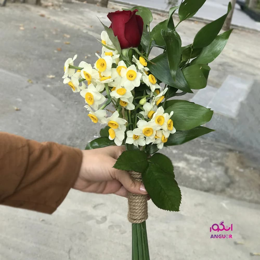 دسته گل پرنیا — تصویر ۶