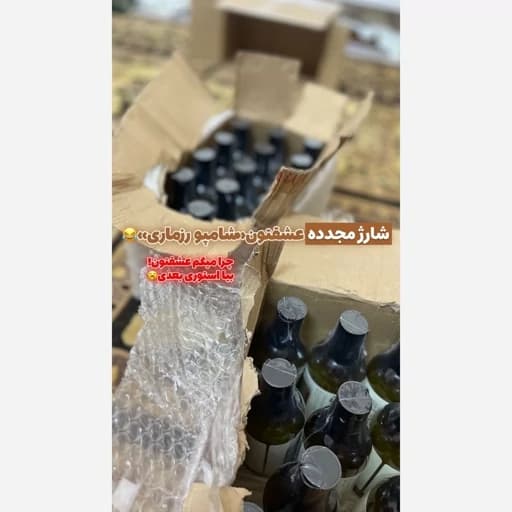 شامپو رزماری اصل اورجینال ضد ریزش و رویش مجدد تقویت ریشه مو ضد موخوره مناسب موهای کراتین شده بدون سولفات گیاهی — تصویر ۴