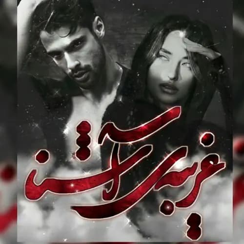 رمان غریبه آشنا نویسنده: فرزانه رضایی دارستانی | دانلود | کتاب خوان