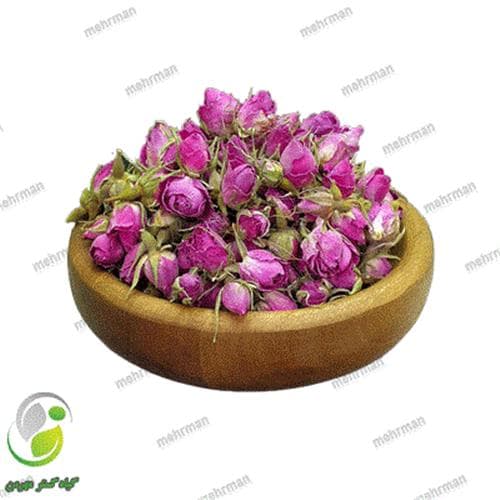 گل سرخ غنچه لاله زار (کد 12)