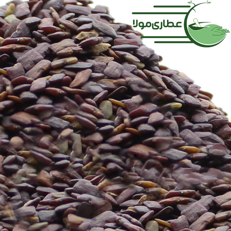 عدس الملک — تصویر ۲