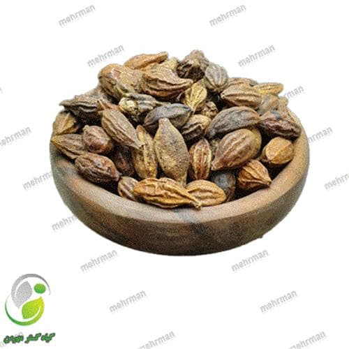هلیله کابلی(کد05)