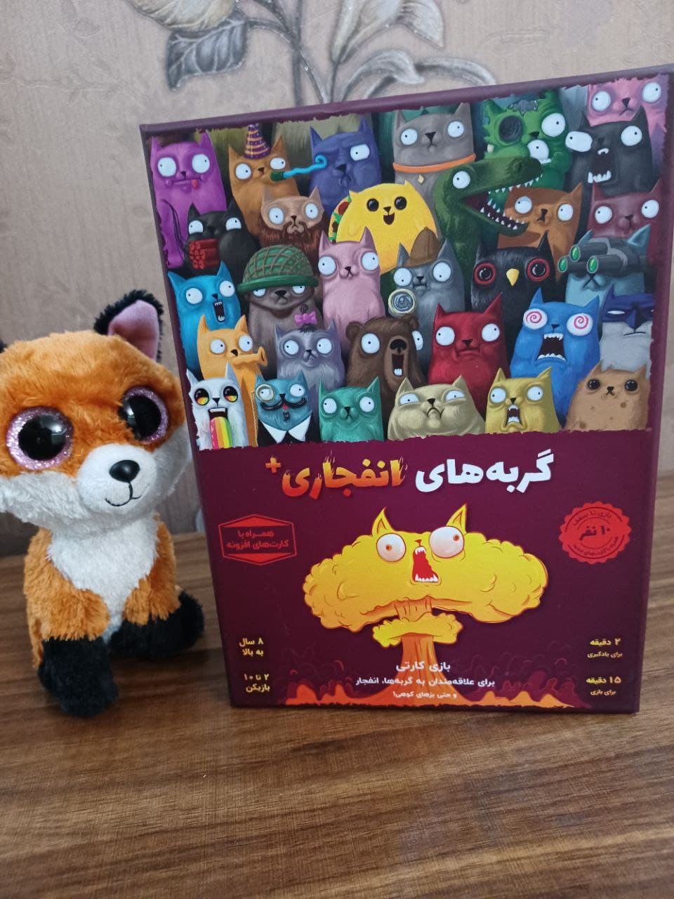 گربه های انفجاری پلاس — تصویر ۷