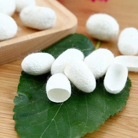 بسته ده عددی پیله ابریشم