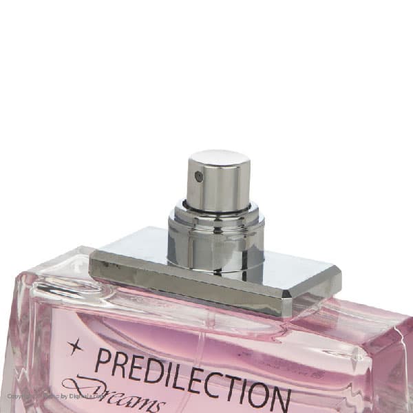 ادوپرفیوم زنانه ایوز د سیستل مدل PREDILECTION- حجم 100ml — تصویر ۲