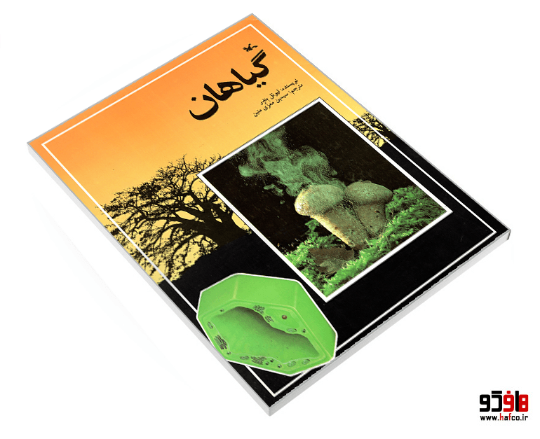 کتاب گیاهان نشر کانون پرورش فکری کودکان و نوجوانان — تصویر ۳