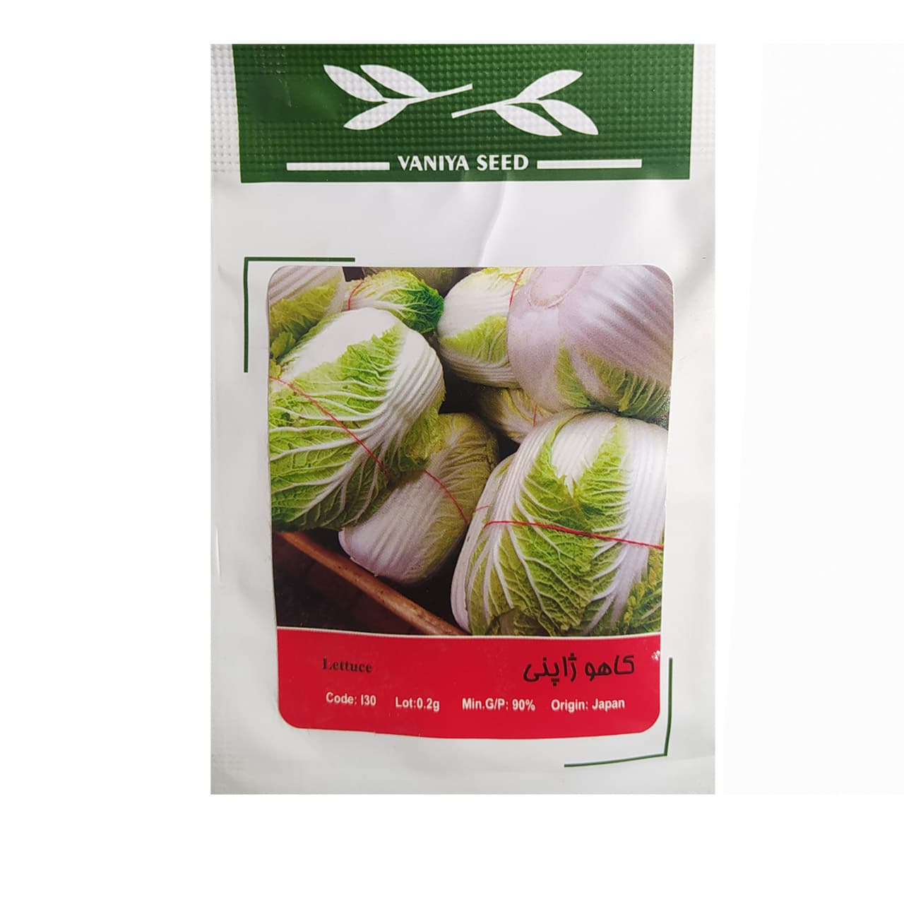 بذر کاهو ژاپنی