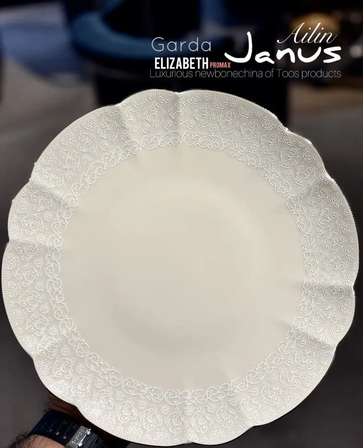 سرویس چینی الیزابت پرومکس طرح گاردا 18 نفره 131 پارچه توس چینی ژانوس قالب آیلین