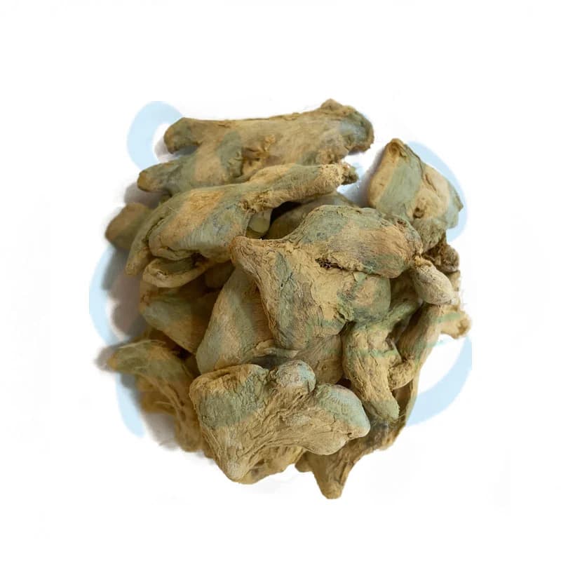 زنجبیل قلم (چینی) — تصویر ۴