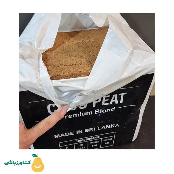 کوکوپیت سریلانکا فاین — تصویر ۲