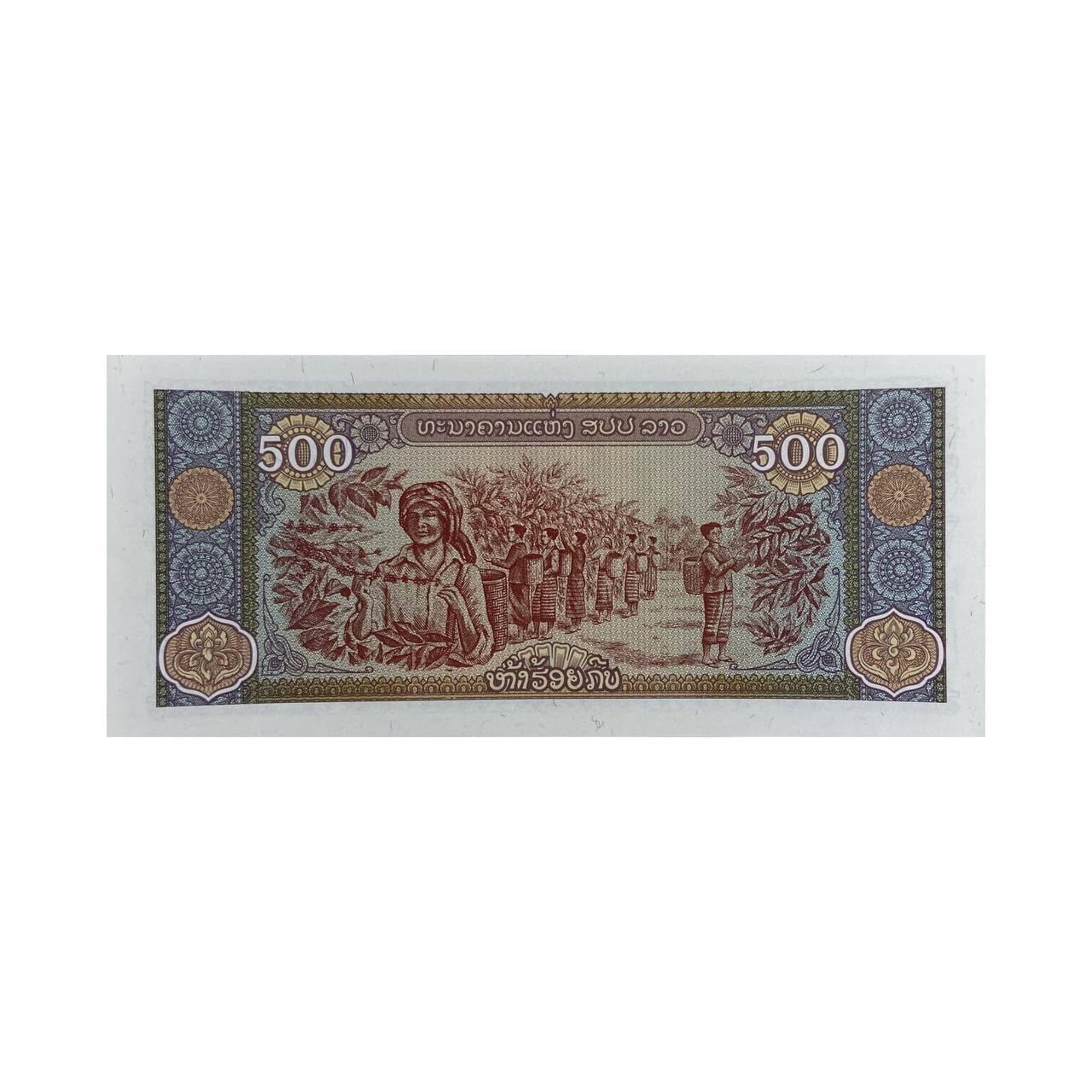 اسکناس 500 کیپ لائوس — تصویر ۲