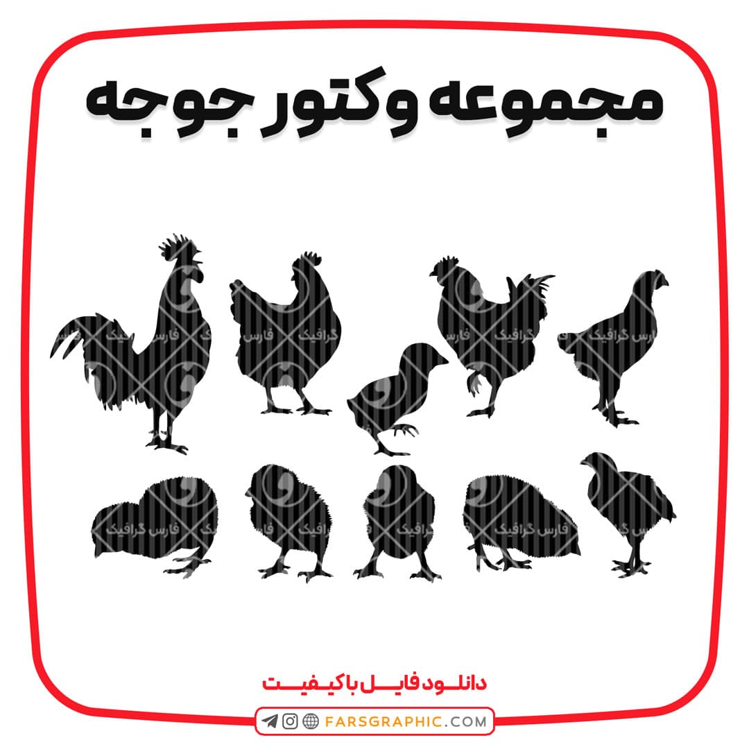 مجموعه وکتور جوجه