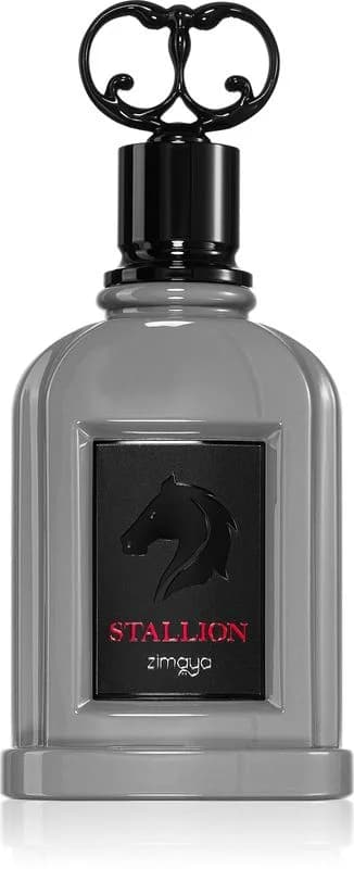 ادوپرفیوم مردانه استالیون زیمایا Zimaya stallion حجم 100 میلی لیتر — تصویر ۸