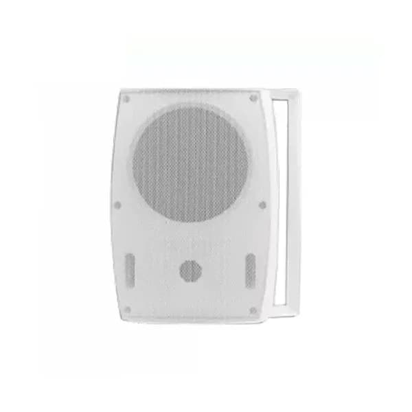 اسپیکر دیواری 100 وات FG Sound مدل FG-205