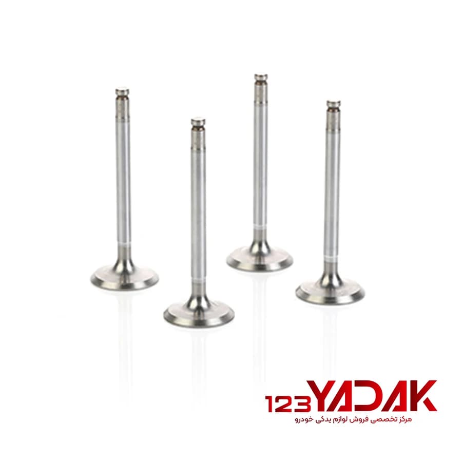 مجموعه سوپاپ دود و هوای موتور XU7-XU7P ایساکو پژو ۴۰۵ / پژو پارس