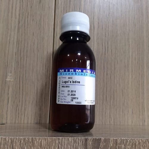 کیت رنگ آمیزی لوگول میرمدیا