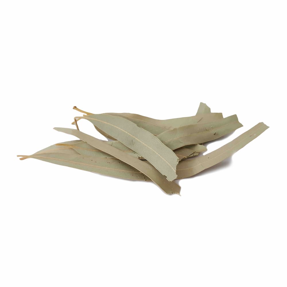 برگ اکالیپتوس – 100 گرم