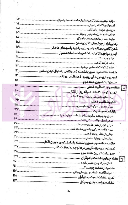 وکیل مضطرب | دکتر صغیری — تصویر ۴