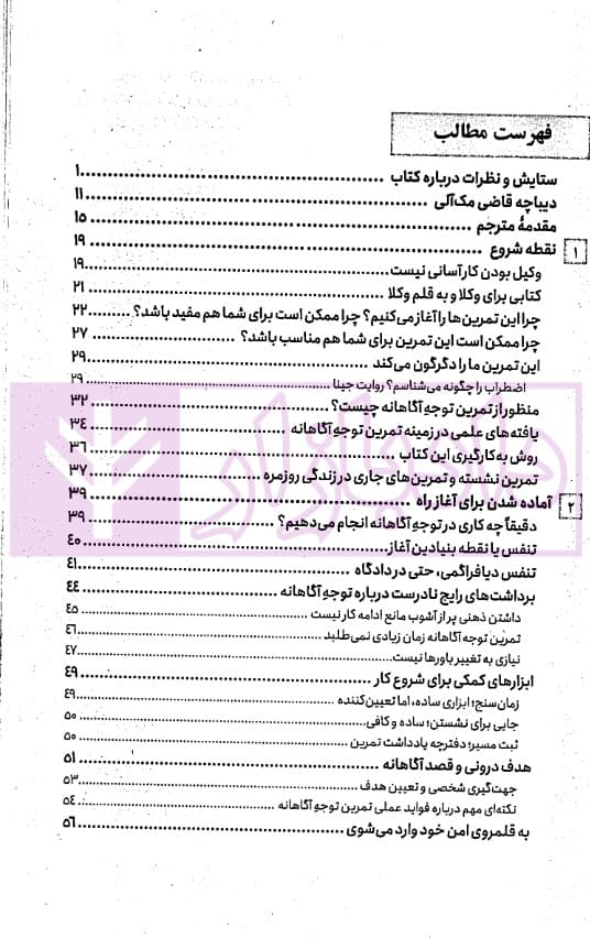 وکیل مضطرب | دکتر صغیری — تصویر ۲
