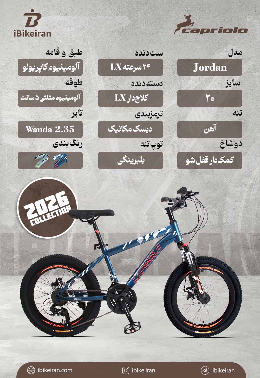 دوچرخه کاپریولو مدل جردن سایز 20 (Capriolo Jordan) — تصویر ۴