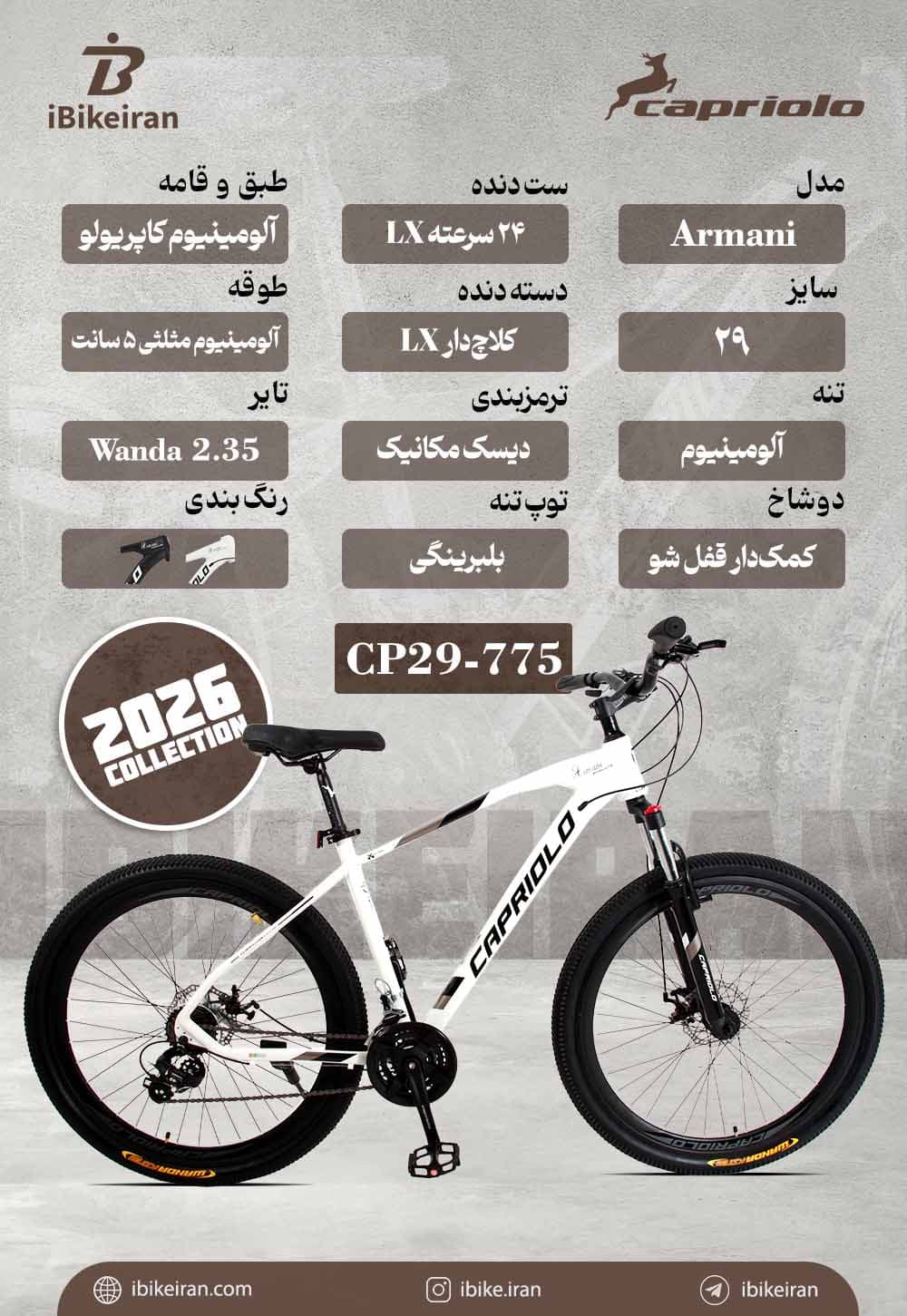 دوچرخه کاپریولو مدل آرمانی سایز 29 (Capriolo Armani) — تصویر ۴