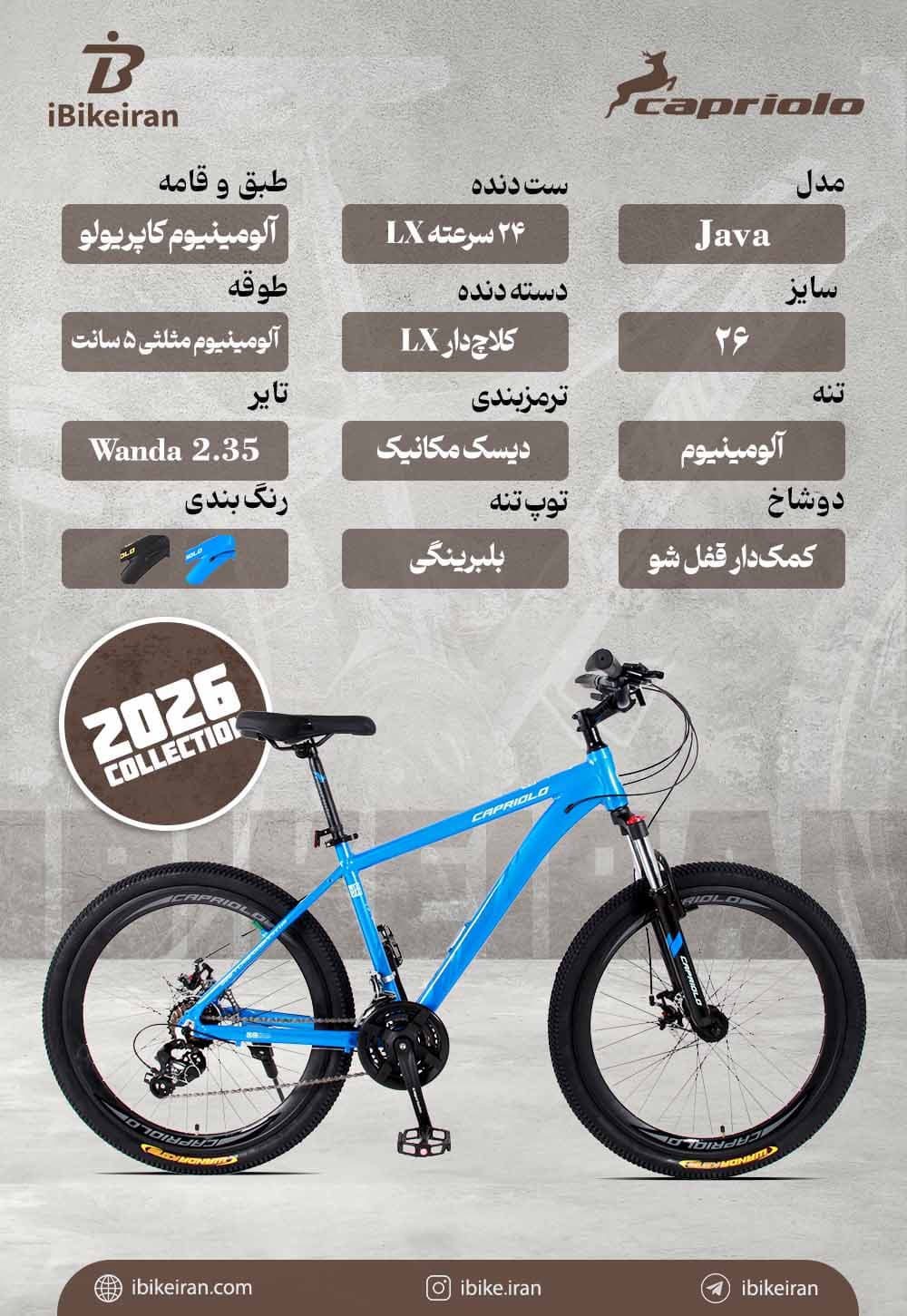 دوچرخه کاپریولو مدل جاوا سایز 26 (Capriolo Java) — تصویر ۴
