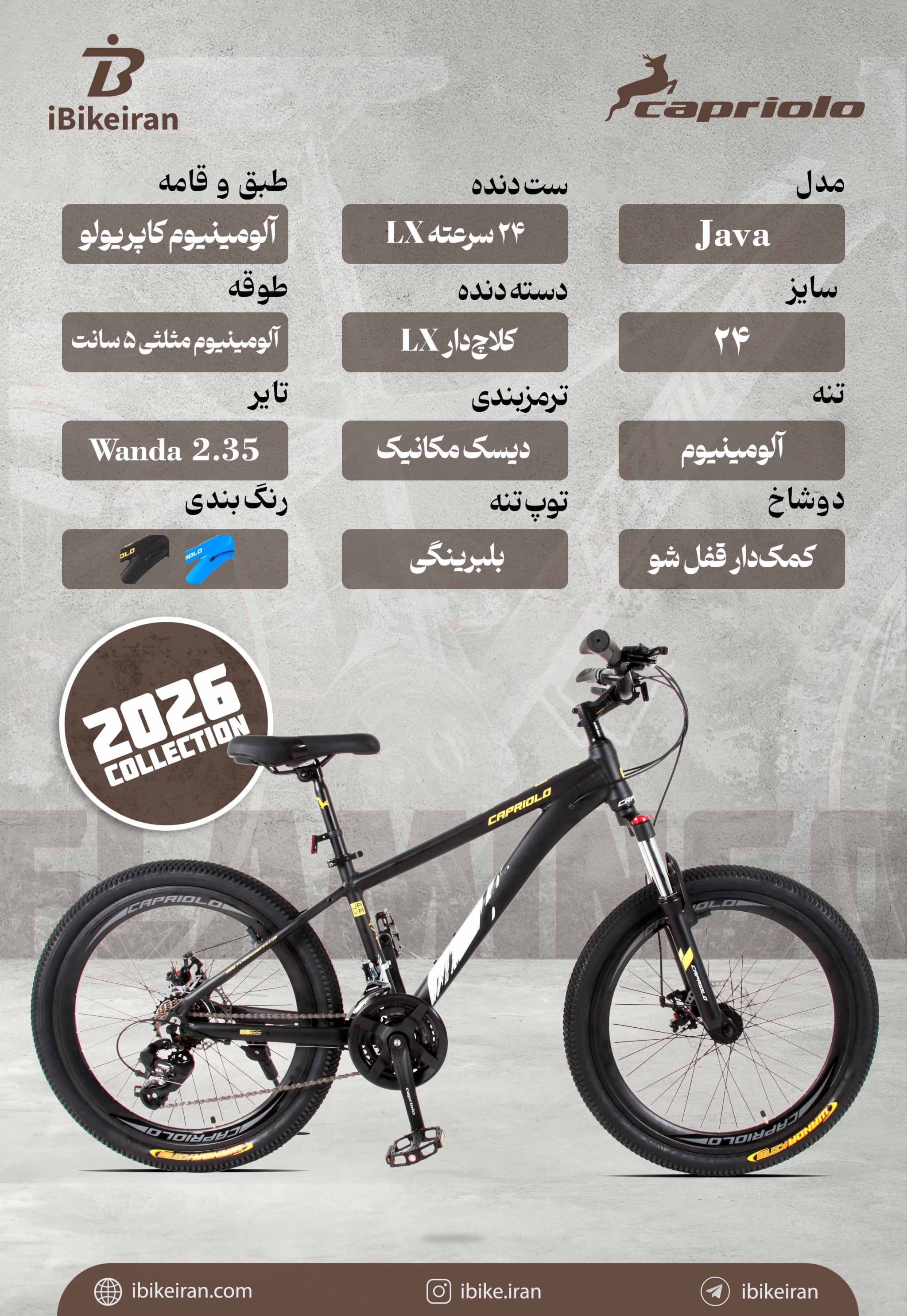 دوچرخه کاپریولو مدل جاوا سایز 24 (Capriolo Java) — تصویر ۴