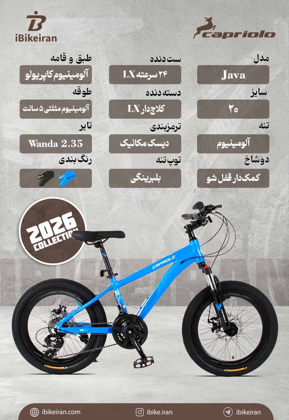 دوچرخه کاپریولو مدل جاوا سایز 20 (Capriolo Java) — تصویر ۴