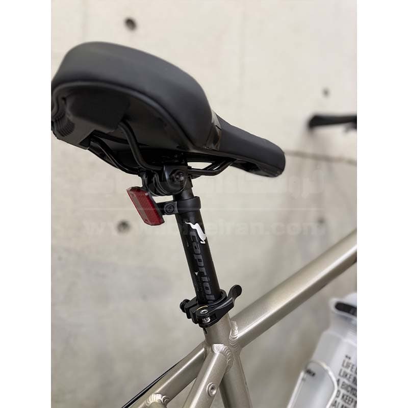 دوچرخه کاپریولو مدل ویوا سایز 24 (Capriolo Viva) — تصویر ۸