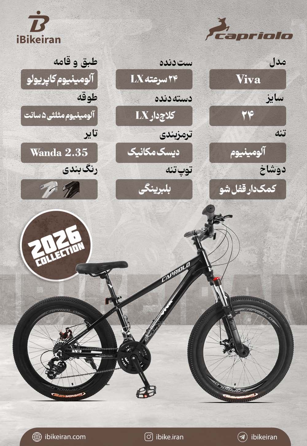 دوچرخه کاپریولو مدل ویوا سایز 24 (Capriolo Viva) — تصویر ۴