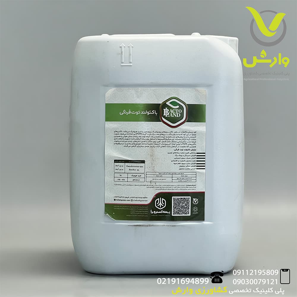 کود زیستی باکتولند توت فرنگی ریشه گستر ویرا 20 لیتری — تصویر ۲
