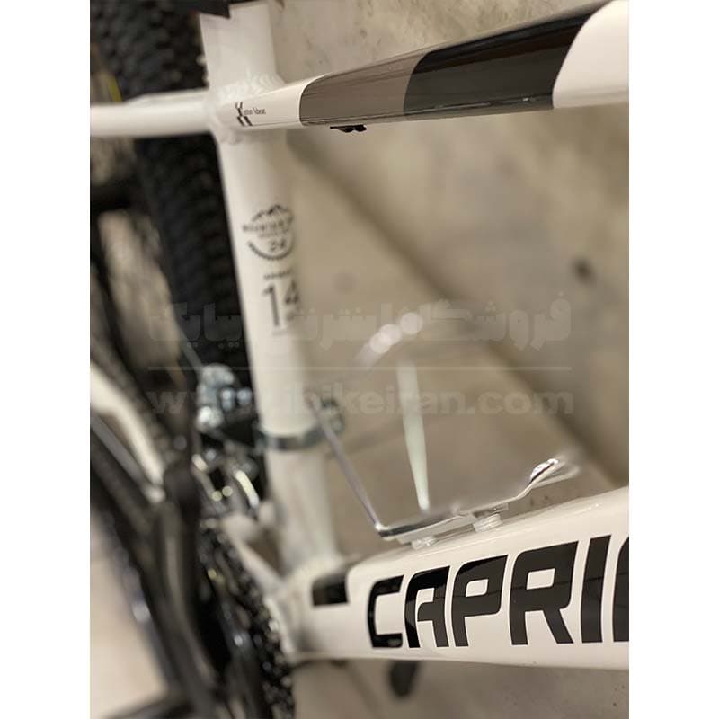 دوچرخه کاپریولو مدل آرمانی سایز 24 (Capriolo Armani) — تصویر ۷