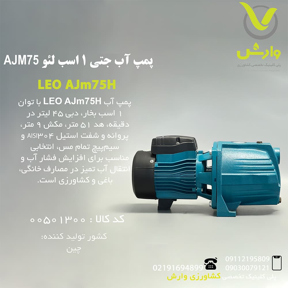 پمپ آب جتی 1 اسب لئو AJM75