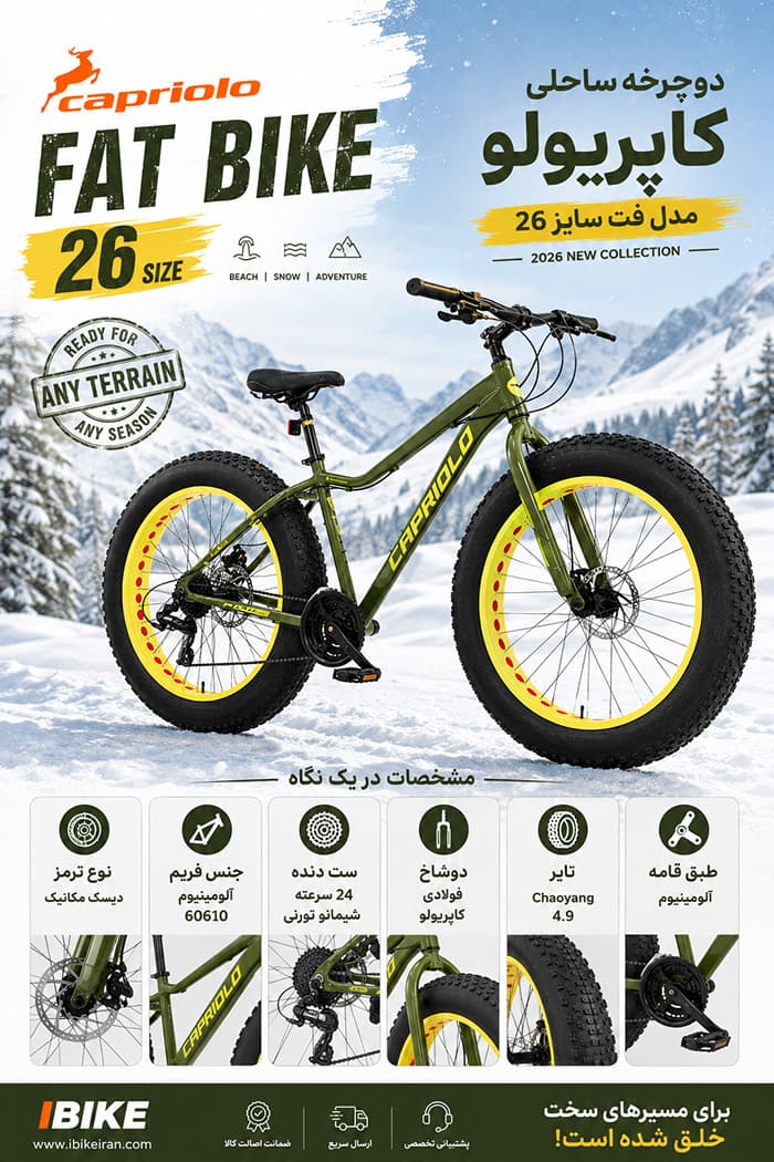 دوچرخه ساحلی کاپریولو مدل فت سایز 26 (Capriolo Fat Bike) — تصویر ۷