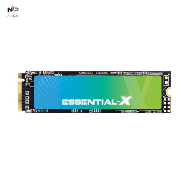 اس اس دی اینترنال ExAscend مدل M.2 NVMe ظرفیت 256 گیگ