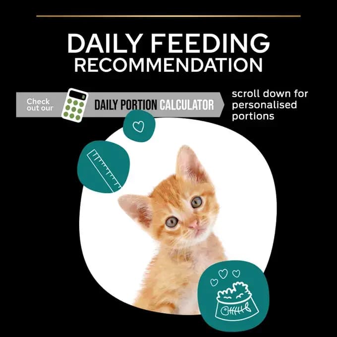 غذای خشک بچه گربه پروپلن (کیتن) طعم مرغ وزن 1.5 کیلوگرم ProPlan Kitten Healthy Start — تصویر ۳
