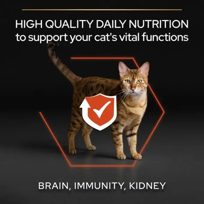غذا خشک گربه بالغ ویتال فانکشن پروپلن طعم سالمون (زیپ کیپ فله) Proplan Vital Functions — تصویر ۷