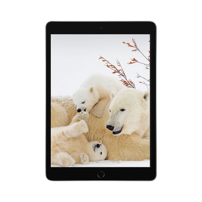 Ipad 9th Generation 256/3 GB wifi 2021