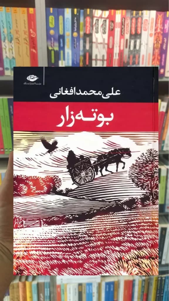 بوته زار علی محمد افغانی نگاه — تصویر ۳