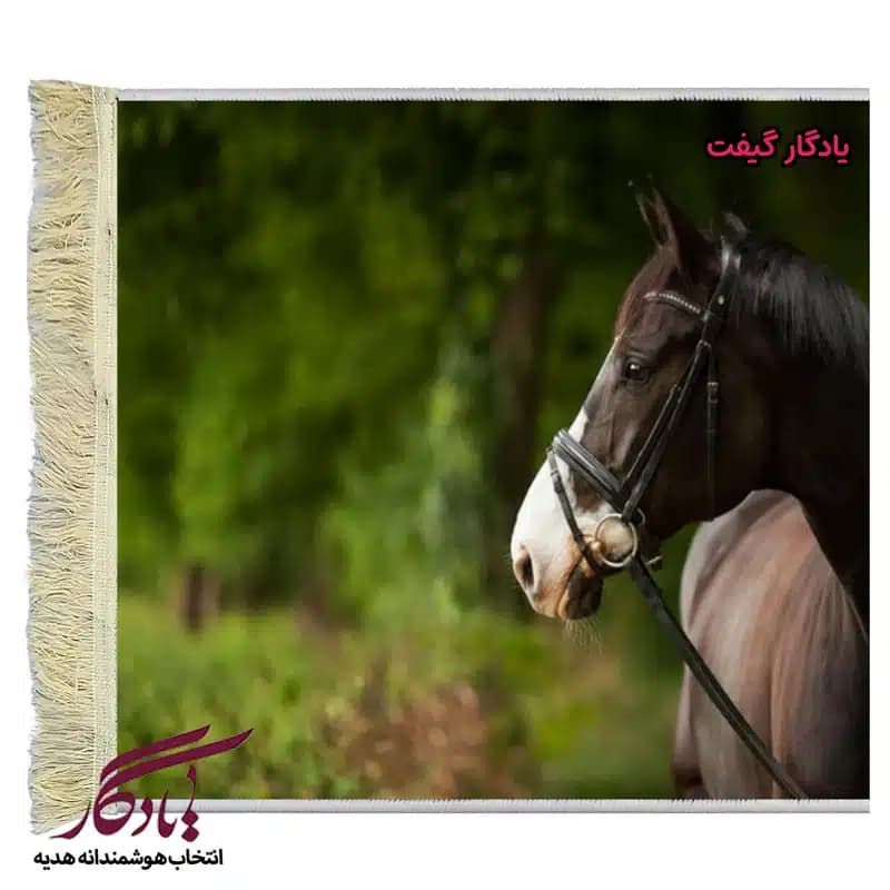 تابلو فرش ماشینی طرح حیوانات نگاه اسب کد h62 — تصویر ۲